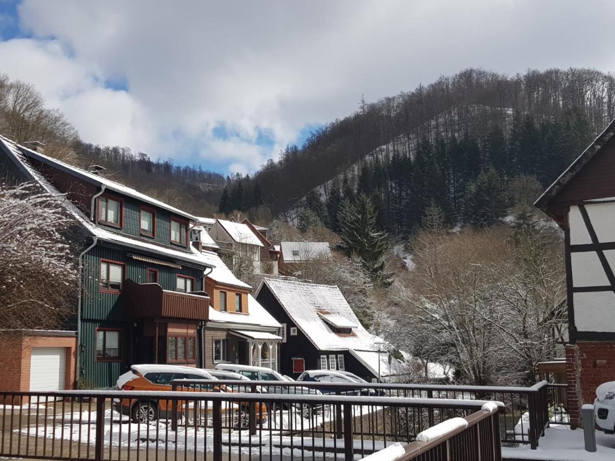 Haus Am Fluss Mit Wunderschoener Dachterrasse Mit Flussblick ,Garten Und Grill Zorge Kültér fotó