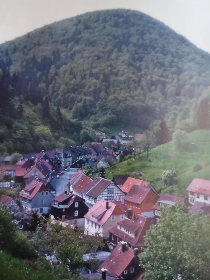 Haus Am Fluss Mit Wunderschoener Dachterrasse Mit Flussblick ,Garten Und Grill Zorge Kültér fotó